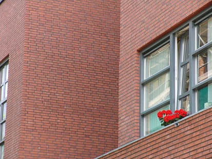 Объект из Кирпич Desta Terra